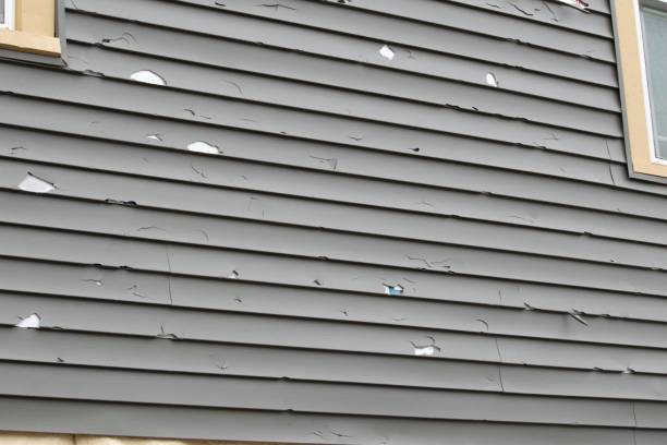 Affordable siding repair and maintenance services in Glenrock, WY